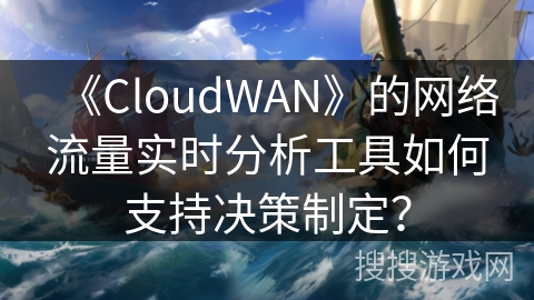 《CloudWAN》的网络流量实时分析工具如何支持决策制定？