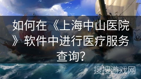 如何在《上海中山医院》软件中进行医疗服务查询？