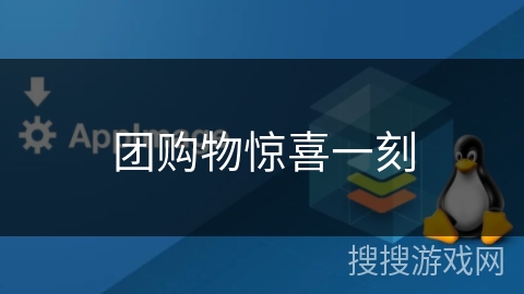 团购物惊喜一刻