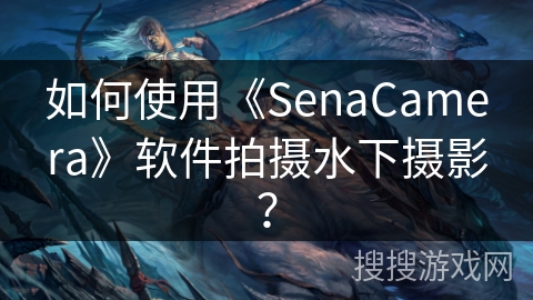 如何使用《SenaCamera》软件拍摄水下摄影？