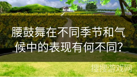 腰鼓舞在不同季节和气候中的表现有何不同？