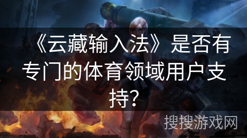 《云藏输入法》是否有专门的体育领域用户支持？