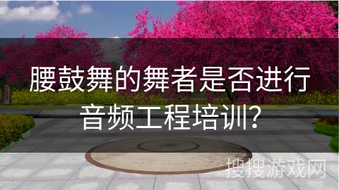 腰鼓舞的舞者是否进行音频工程培训？