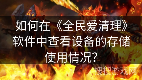 如何在《全民爱清理》软件中查看设备的存储使用情况？
