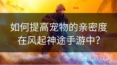 如何提高宠物的亲密度在风起神途手游中？