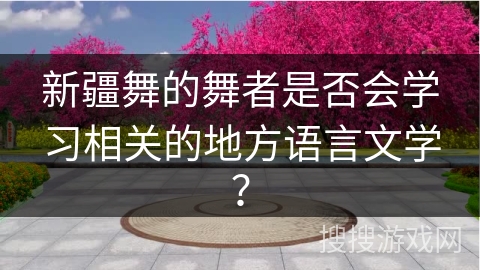 新疆舞的舞者是否会学习相关的地方语言文学？