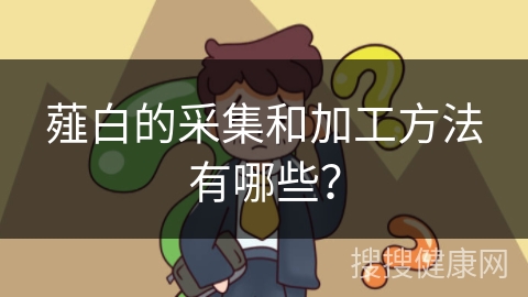 薤白的采集和加工方法有哪些？