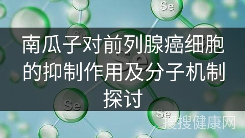 南瓜子对前列腺癌细胞的抑制作用及分子机制探讨