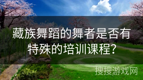 藏族舞蹈的舞者是否有特殊的培训课程？