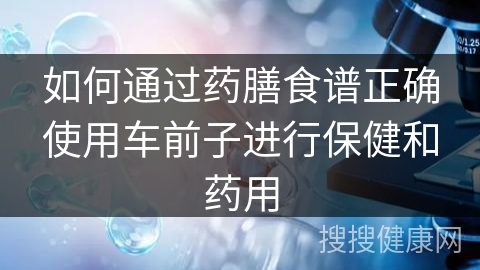 如何通过药膳食谱正确使用车前子进行保健和药用