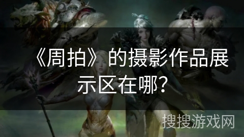 《周拍》的摄影作品展示区在哪？