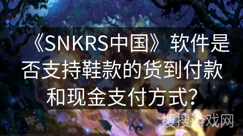 《SNKRS中国》软件是否支持鞋款的货到付款和现金支付方式? 《SNKRS中国》软件是否支持鞋款的货到付款和现金支付方式?