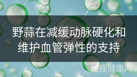 野蒜在减缓动脉硬化和维护血管弹性的支持