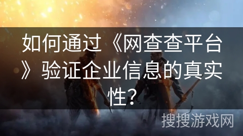 如何通过《网查查平台》验证企业信息的真实性？