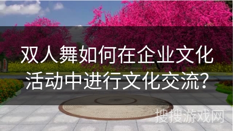 双人舞如何在企业文化活动中进行文化交流？
