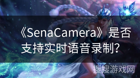 《SenaCamera》是否支持实时语音录制？
