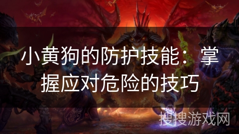 小黄狗的防护技能：掌握应对危险的技巧