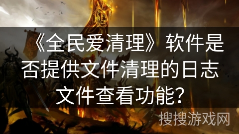 《全民爱清理》软件是否提供文件清理的日志文件查看功能？