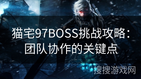 猫宅97BOSS挑战攻略：团队协作的关键点