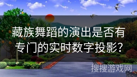 藏族舞蹈的演出是否有专门的实时数字投影？