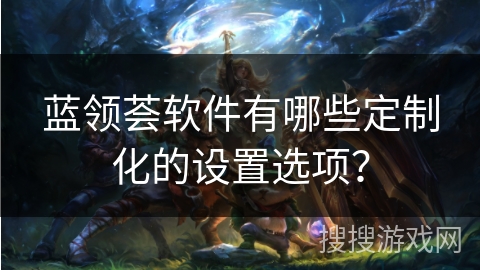蓝领荟软件有哪些定制化的设置选项？