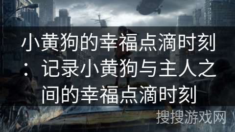 小黄狗的幸福点滴时刻:记录小黄狗与主人之间的幸福点滴时刻 小黄狗的幸福点滴时刻:记录小黄狗与主人之间的幸福点滴时刻
