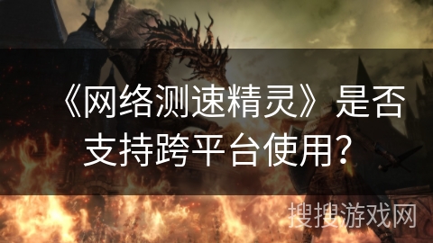 《网络测速精灵》是否支持跨平台使用？