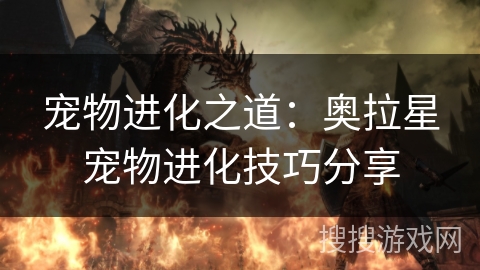 宠物进化之道:奥拉星宠物进化技巧分享 宠物进化之道:奥拉星宠物进化技巧分享