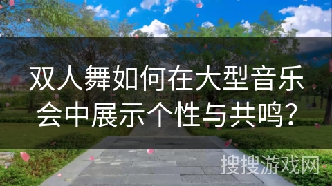 双人舞如何在大型音乐会中展示个性与共鸣？