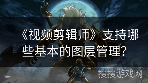 《视频剪辑师》支持哪些基本的图层管理？
