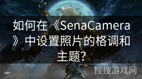 如何在《SenaCamera》中设置照片的格调和主题? 如何在《SenaCamera》中设置照片的格调和主题?
