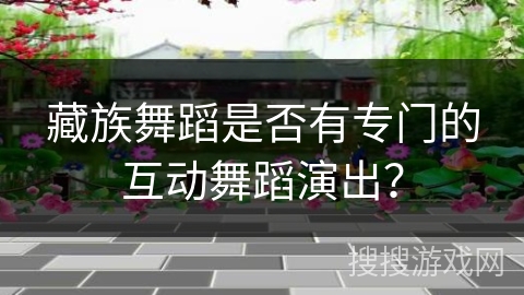 藏族舞蹈是否有专门的互动舞蹈演出？