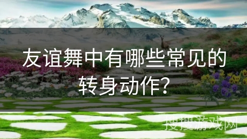 友谊舞中有哪些常见的转身动作？