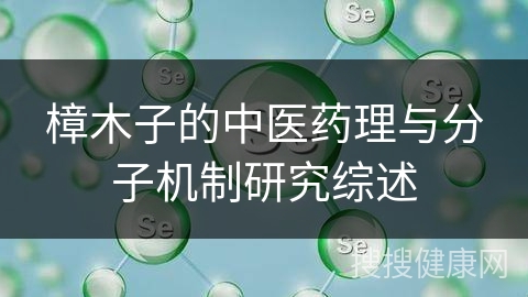 樟木子的中医药理与分子机制研究综述