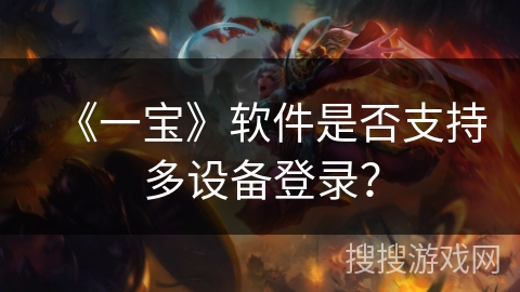 《一宝》软件是否支持多设备登录?