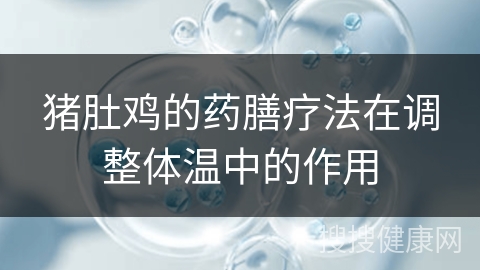 猪肚鸡的药膳疗法在调整体温中的作用