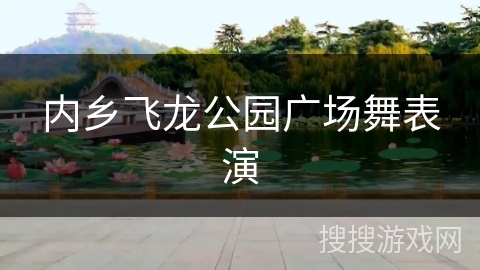 内乡飞龙公园广场舞表演