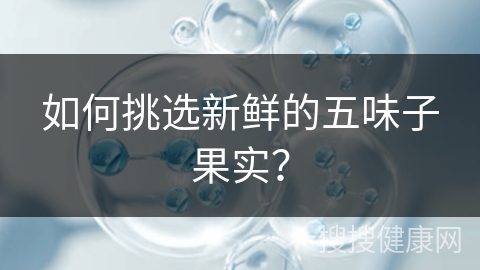 如何挑选新鲜的五味子果实？