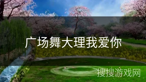 广场舞大理我爱你