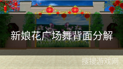 新娘花广场舞背面分解