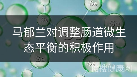 马郁兰对调整肠道微生态平衡的积极作用