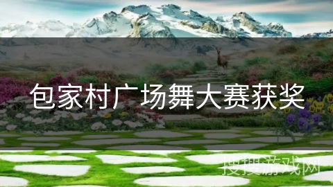 包家村广场舞大赛获奖