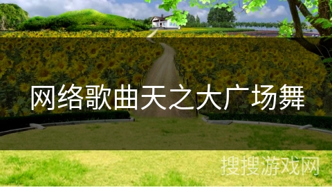 网络歌曲天之大广场舞