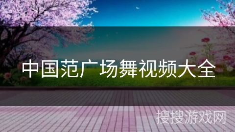 中国范广场舞视频大全