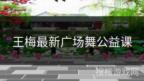 王梅最新广场舞公益课