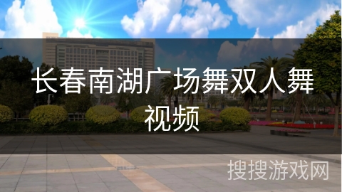 长春南湖广场舞双人舞视频