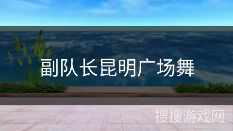 副队长昆明广场舞