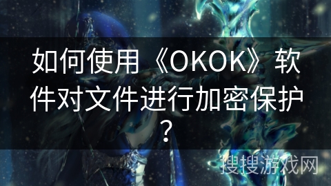 如何使用《OKOK》软件对文件进行加密保护？