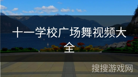 十一学校广场舞视频大全