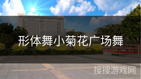 形体舞小菊花广场舞